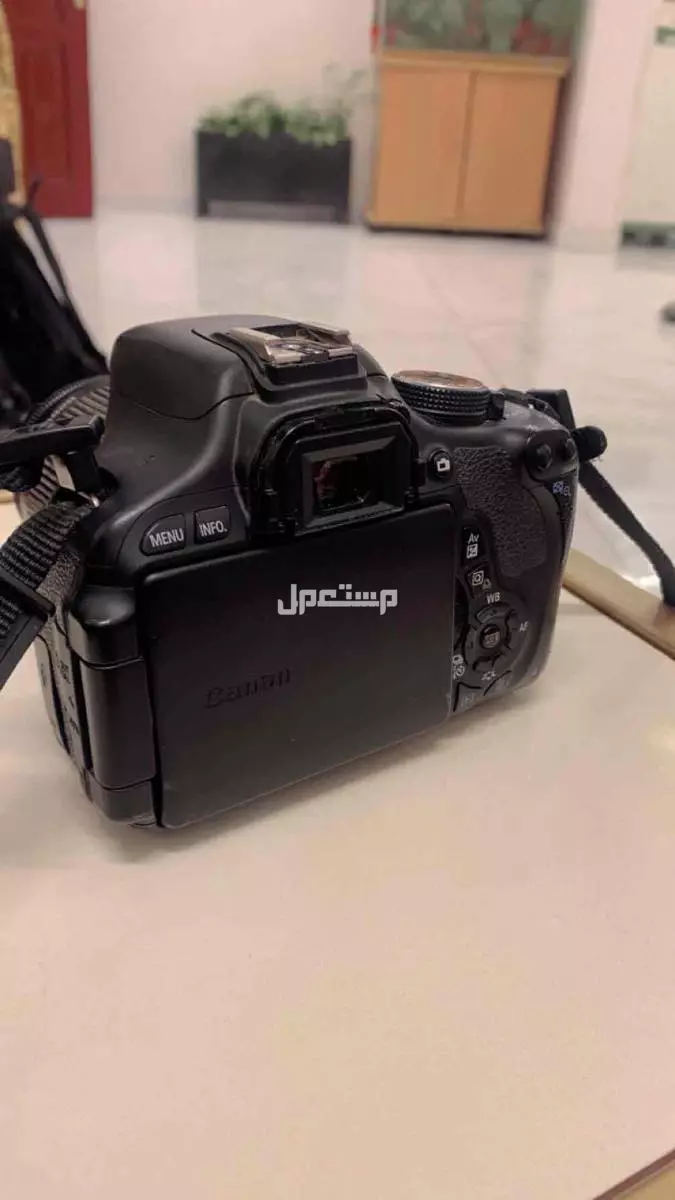 العهن في المدينة المنورة بسعر ألف ريال سعودي