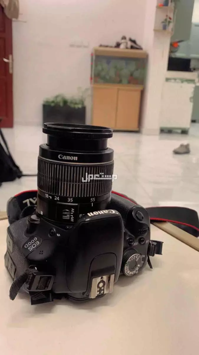 العهن في المدينة المنورة بسعر ألف ريال سعودي