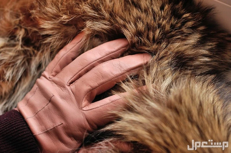 ما تفسير الجاكيت الفرو في المنام للرجل والمرأة والعزباء والمتزوجة؟ الفرو الطبيعي في المنام