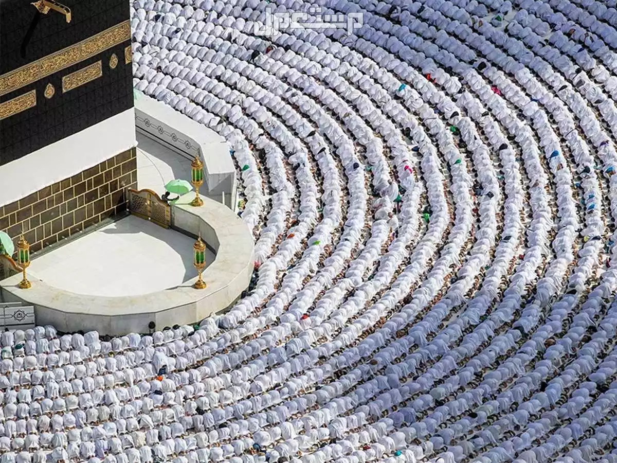 تفاصيل خطة الحج 2026.. دليل شامل خطوة بخطوة كل ما يخص خطة الحج 2026