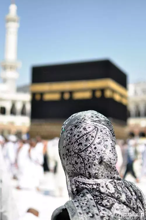 تفسير حلم الحج في غير وقته.. هل الحج في المنام خير؟ رؤية الحج في المنام للعزباء