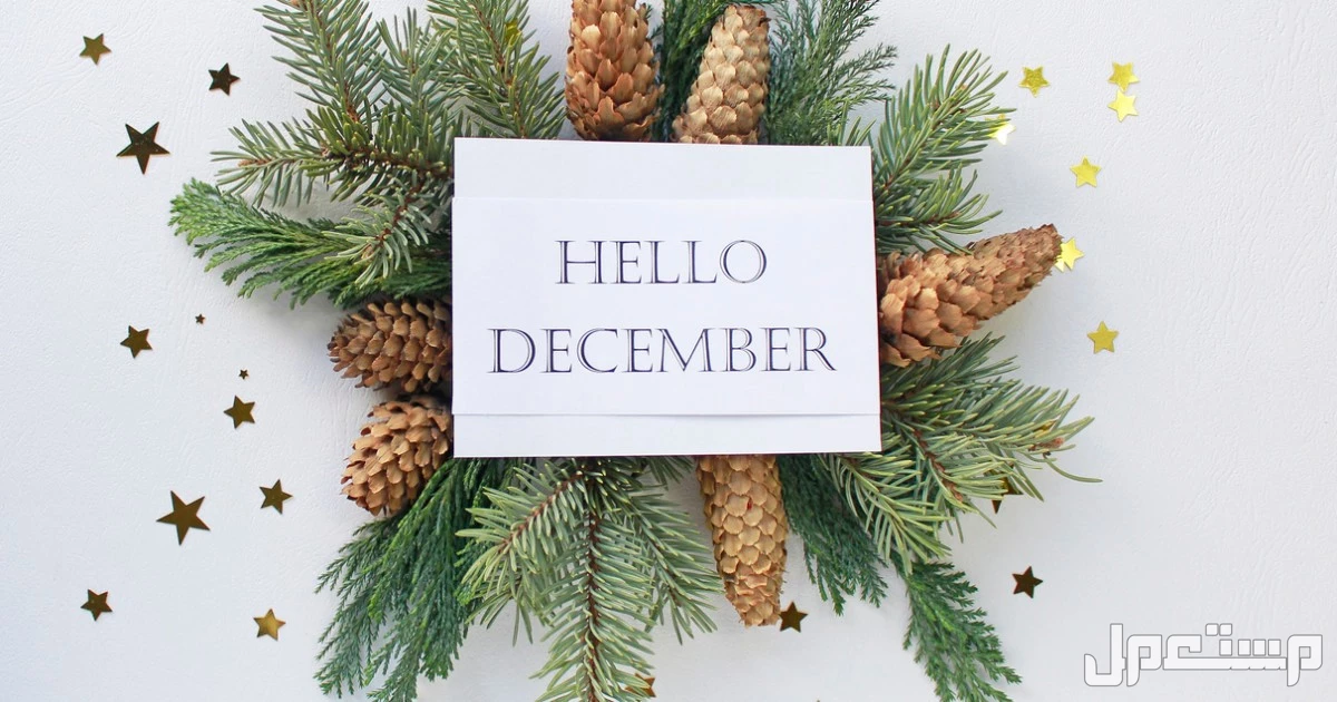 الأيام العالمية في شهر ديسمبر 2025 الرسمية وغير الرسمية