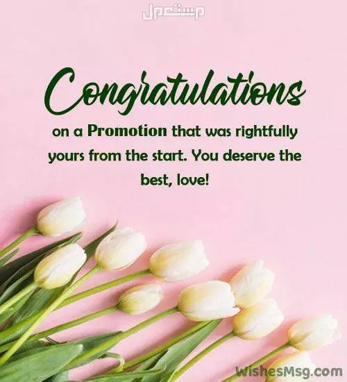 عبارات تهنئة بمنصب مدير بالإنجليزي.. كيف تقول التهنئة بشكل احترافي؟ بطاقات تهنئة بالمنصب الجديد