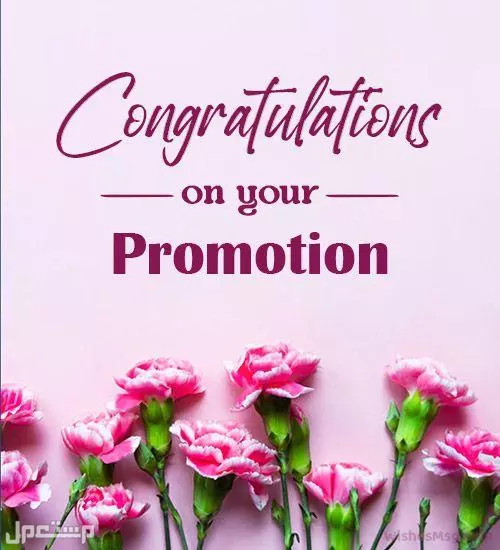 عبارات تهنئة بمنصب مدير بالإنجليزي.. كيف تقول التهنئة بشكل احترافي؟ بطاقات تهنئة بالمنصب الجديد