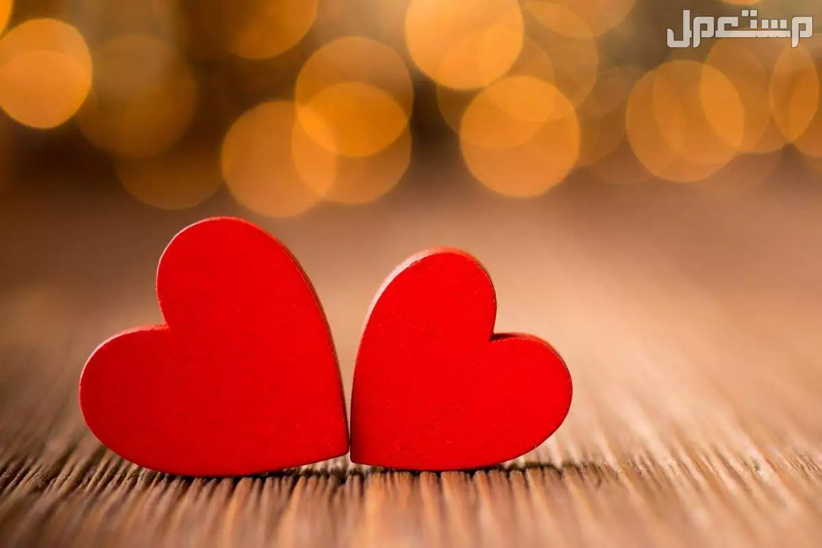 أجمل اقتباسات عن الزواج بالإنجليزي: 50 عبارة مؤثرة مع الترجمة عبارات عن الزواج مترجم 2026