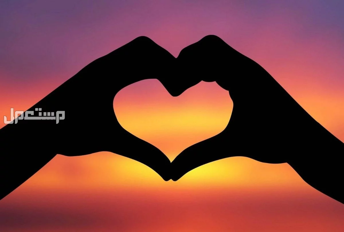 أجمل اقتباسات عن الزواج بالإنجليزي: 50 عبارة مؤثرة مع الترجمة اقتباسات عن الزواج 2026