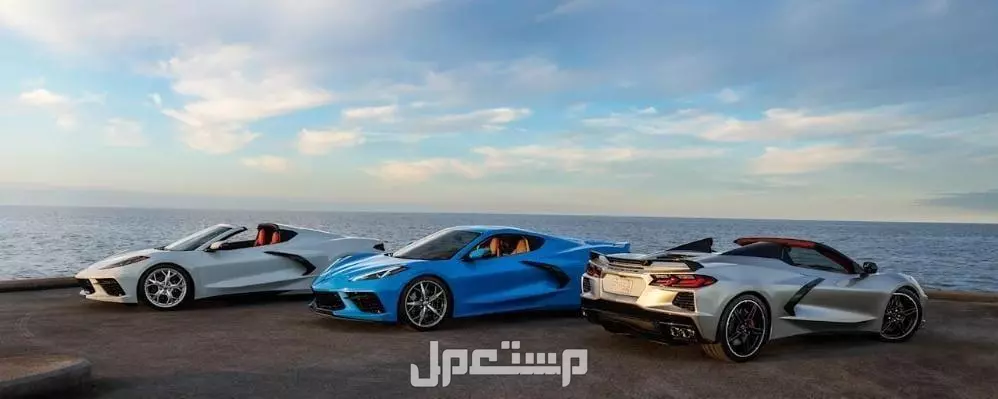سعر ومواصفات شفروليه كورفيت ستينغراي 2026.. ما الجديد؟ ألوان شيفروليه كورفيت ستينغراي 2026