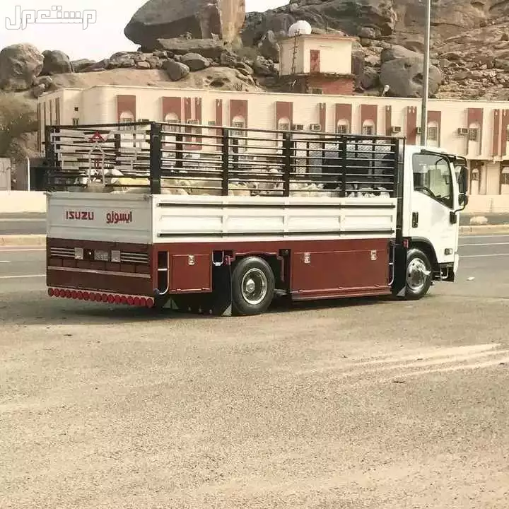 دينا طش اثاث القديم پاالرياض0507019022 بأ حي الياسمين بالرياض