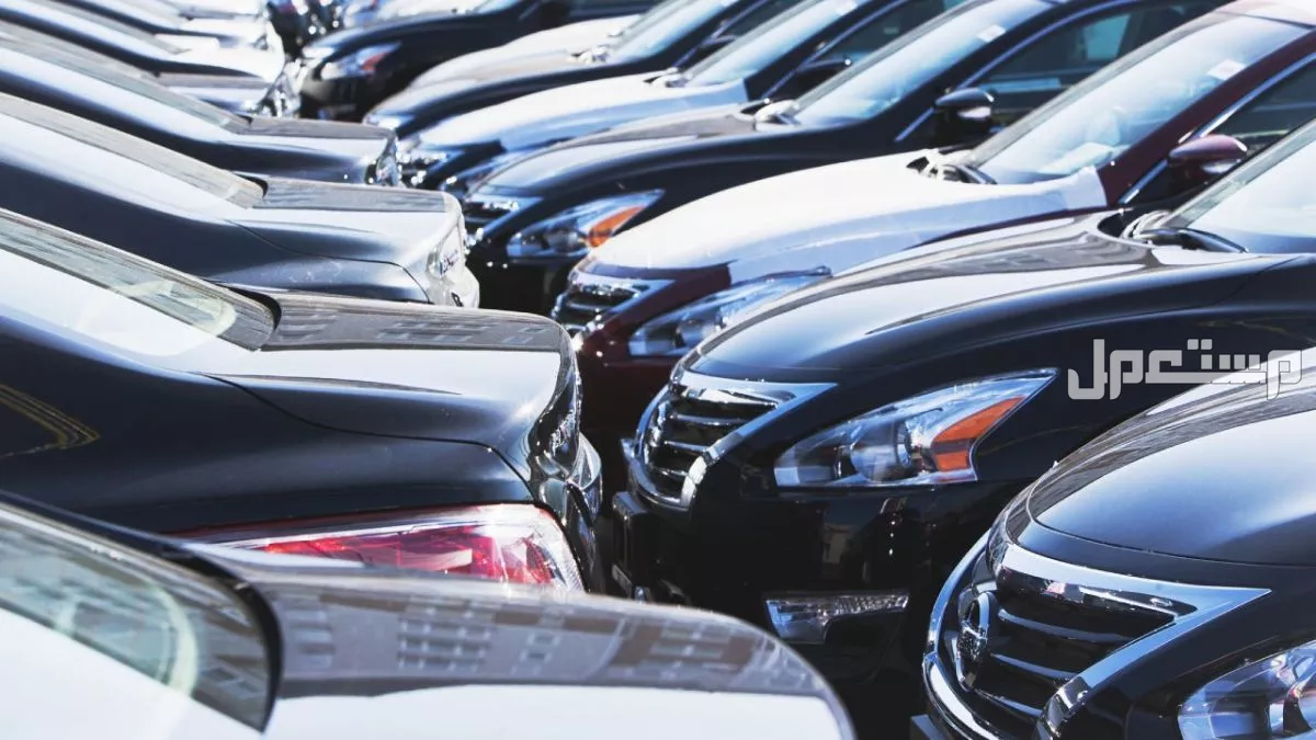 أهم 5 قطع يجب تغييرها بعد شراء سيارة مستعملة لضمان صيانة آمنة نصائح لمن يريد شراء سيارة مستعملة