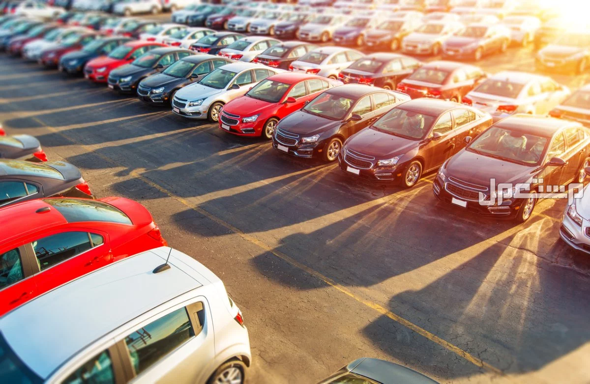 أهم 5 قطع يجب تغييرها بعد شراء سيارة مستعملة لضمان صيانة آمنة