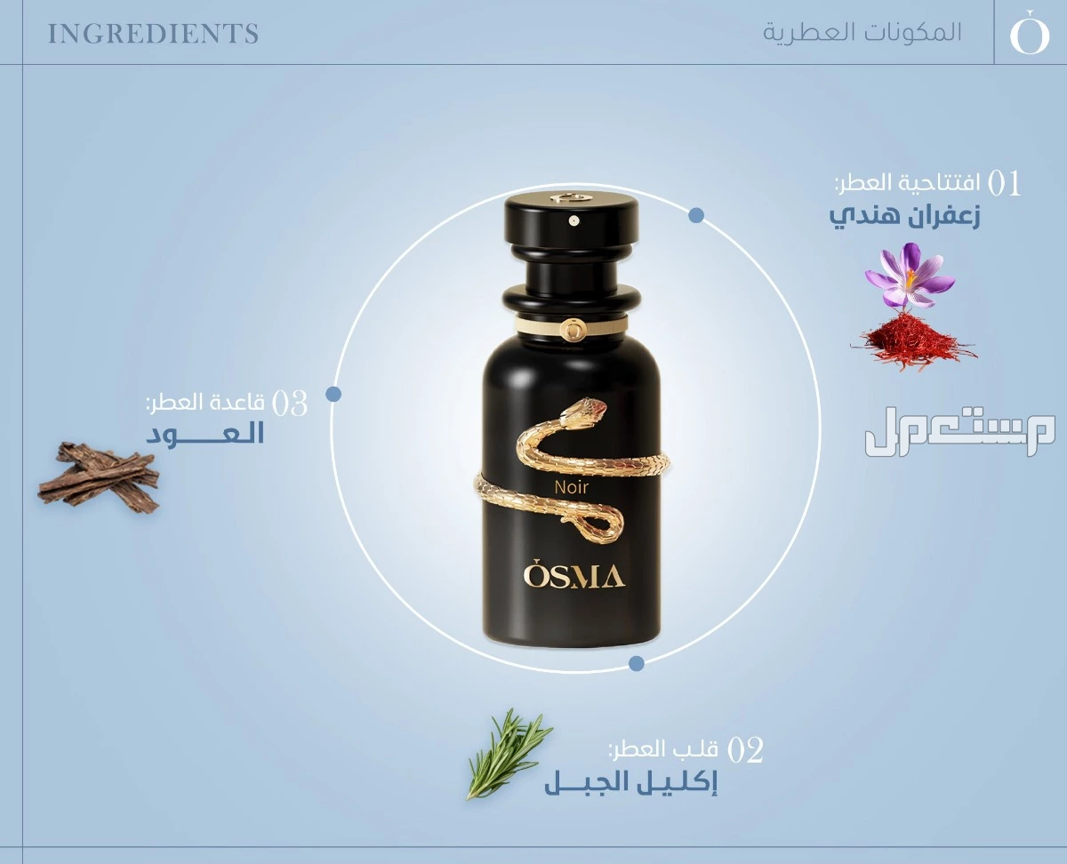 أفضل عروض عطور الجمعة البيضاء 2025.. خصومات 82% أسعار العطور بعد الخصم