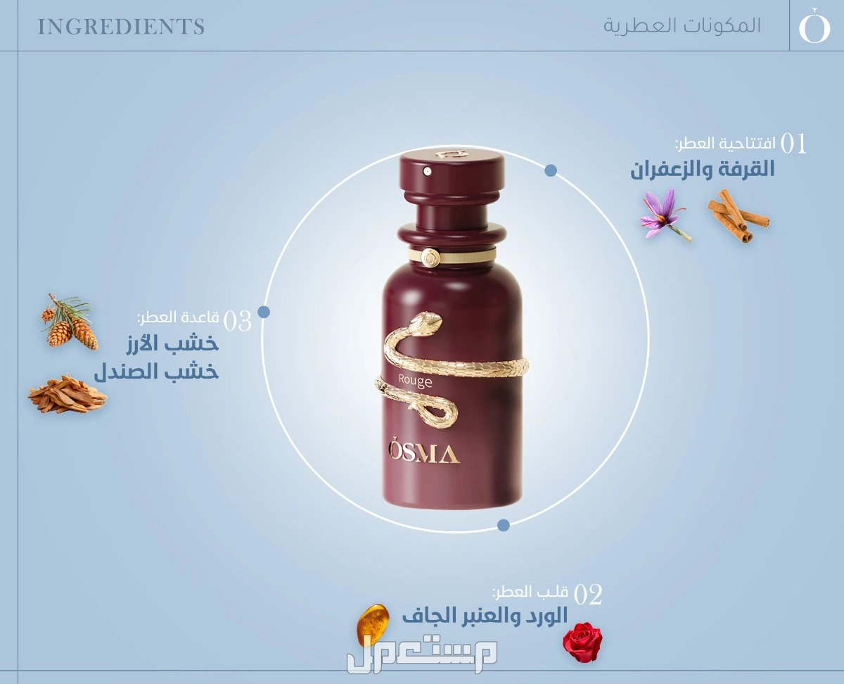 أفضل عروض عطور الجمعة البيضاء 2025.. خصومات 82% شراء عطور نسائية ورجالية