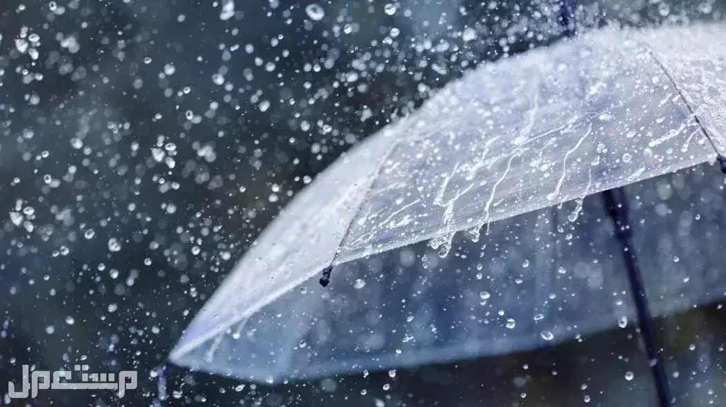 جدول موسم الأمطار في السعودية 1447: كيف سيكون طقس رمضان 2026؟ توقعات الأمطار في السعودية يناير 2026