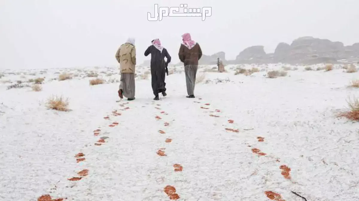 جدول موسم الأمطار في السعودية 1447: كيف سيكون طقس رمضان 2026؟ حالة الطقس في شهر ديسمبر 1447