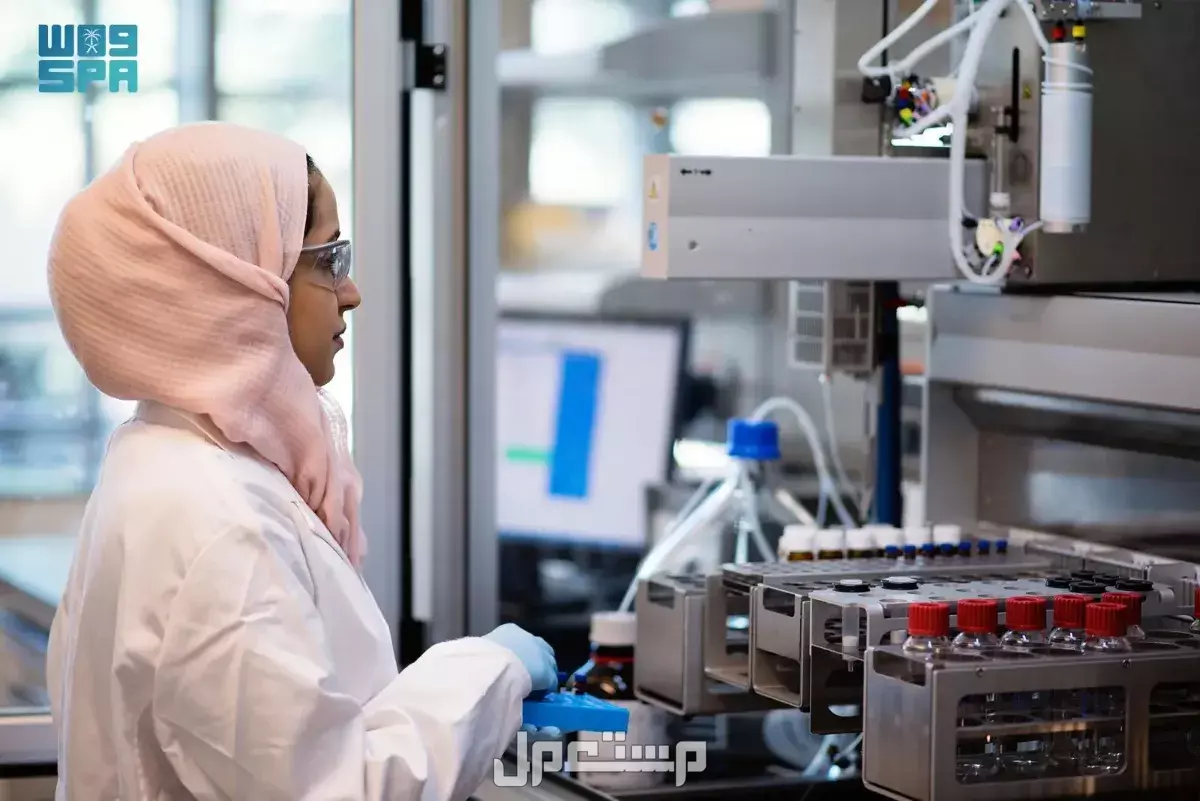 أكثر التخصصات الجامعية المطلوبة 2026 للشباب والبنات