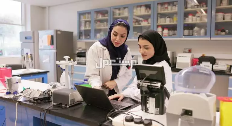 أكثر التخصصات الجامعية المطلوبة 2026 للشباب والبنات التخصص الذي له مستقبل للبنات