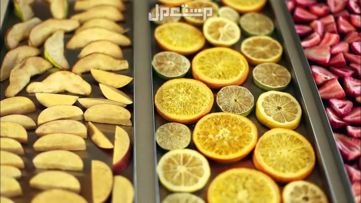 أفضل جهاز تجفيف الفواكه 2026 وطريقة تحضيرها في المنزل أفضل جهاز تجفيف فواكه 2026