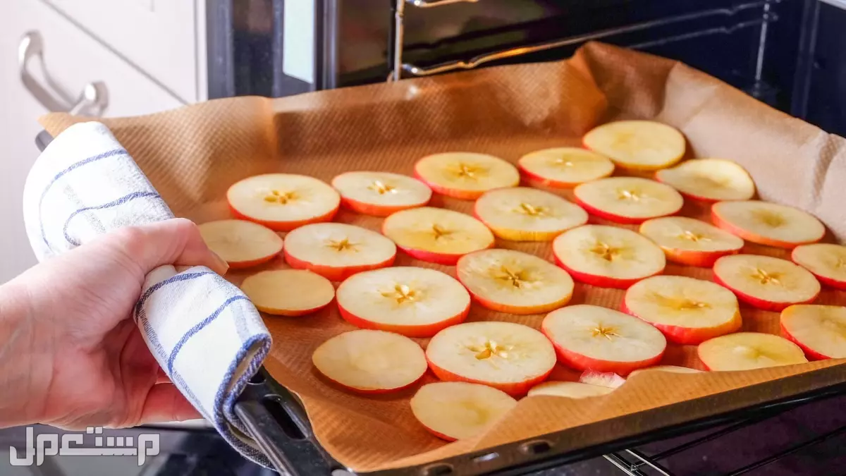 أفضل جهاز تجفيف الفواكه 2026 وطريقة تحضيرها في المنزل تخزين الفواكه المجففة