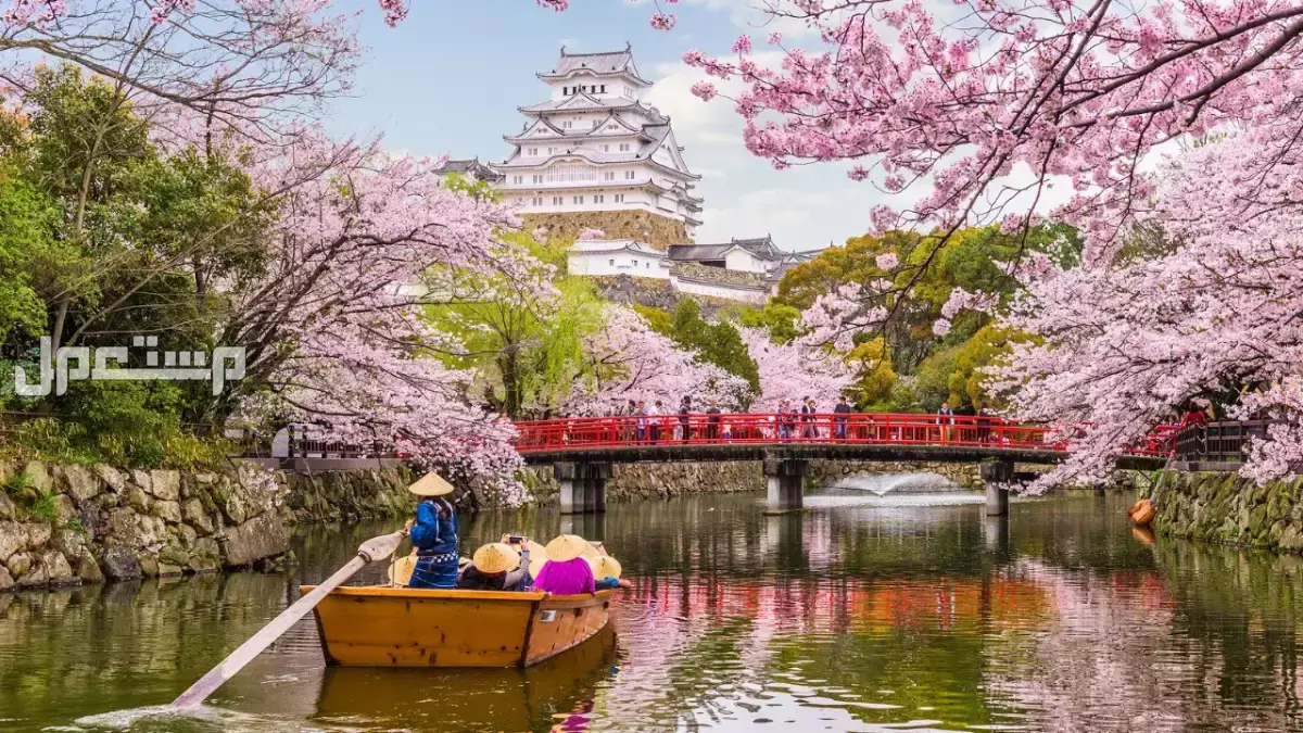 أفضل 10 وجهات للسفر بداية عام 2026.. ما الوجهة التي تناسبك؟ السياحة في اليابان