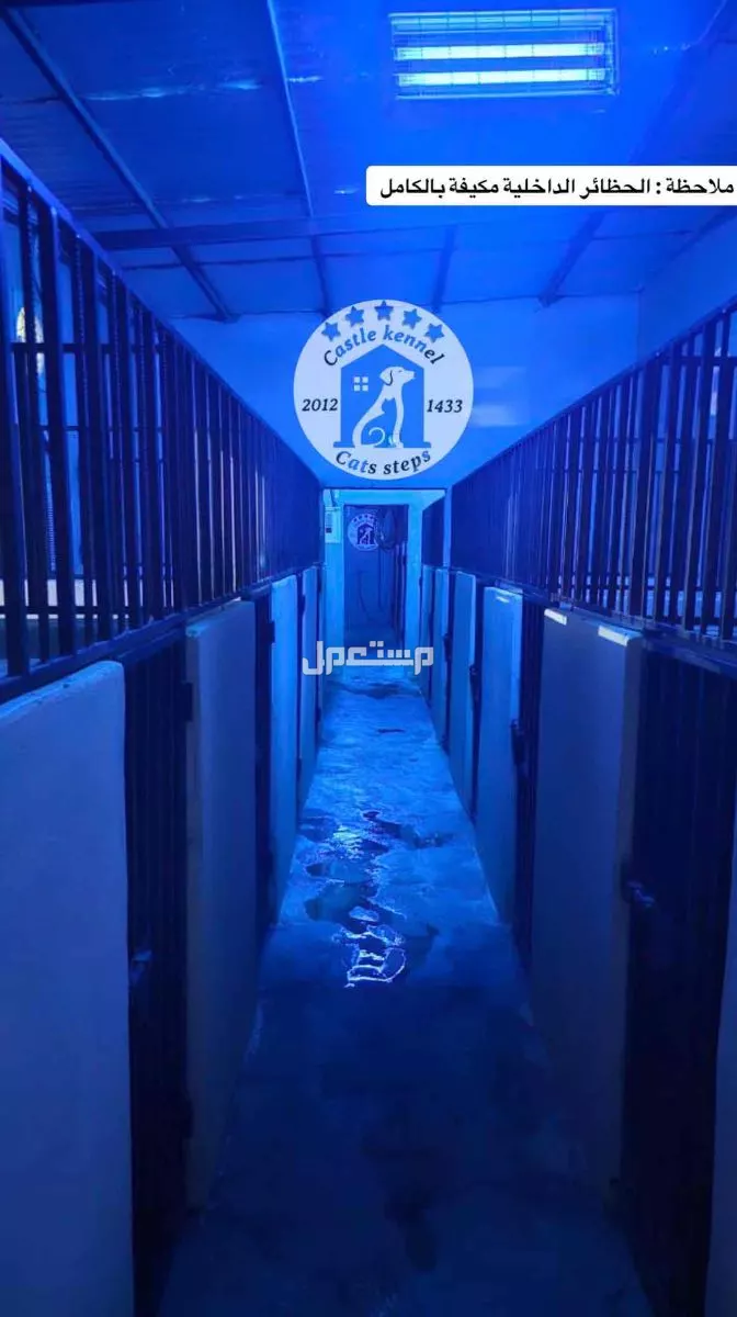 فندقة وتدريب كلاب بعناية واحترافية
