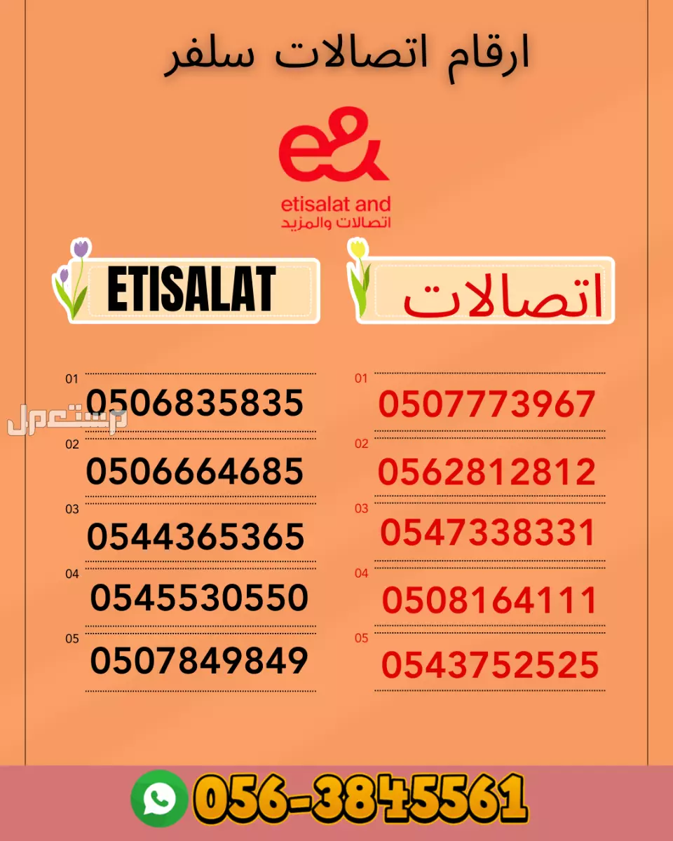 Etisalat Platinum Numbers for Sale | Secure Your Premium Number