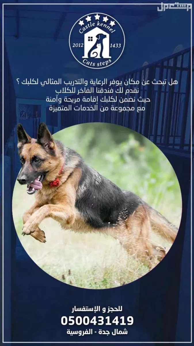 فندقة وتدريب كلاب بإحترافية تامة