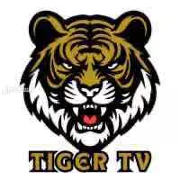 اشتراك تطبيق تايقر شهري سنوي للبيع بسعر 29﷼