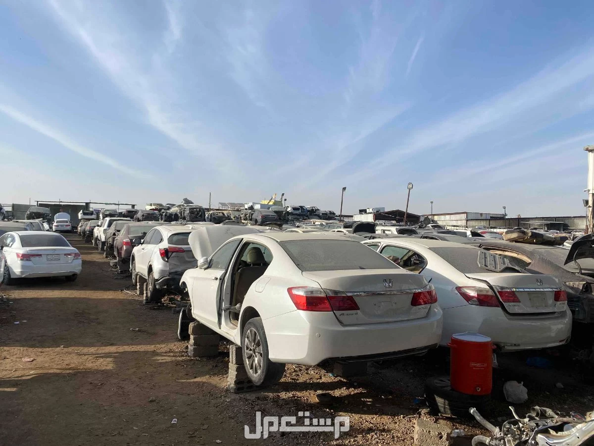 الرياض