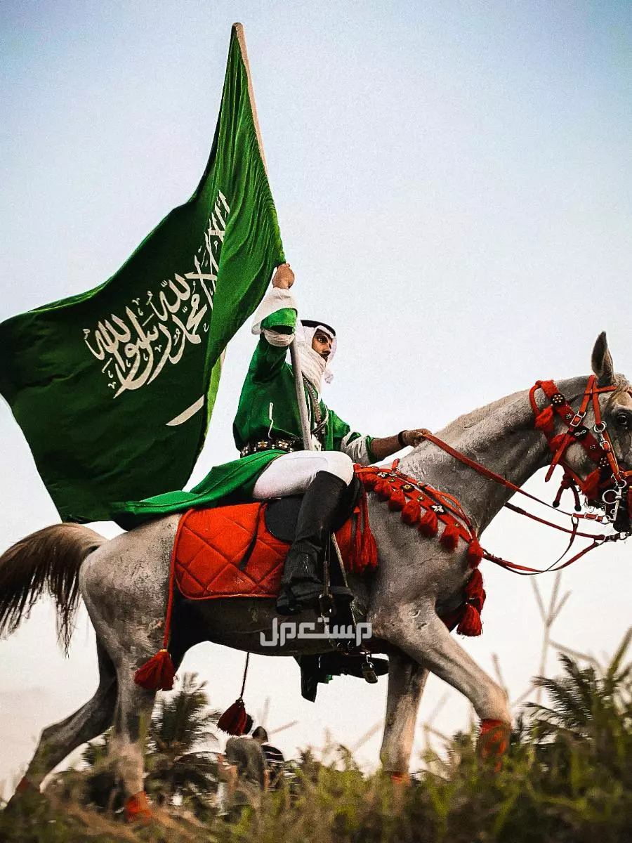 قصائد وأشعار عن اليوم الوطني السعودي 2026.. أبيات عن حب السعودية